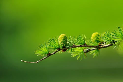 佛山污水處理